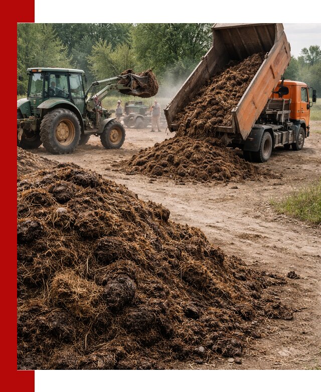 Доставка навоза самосвалами в Новокузнецке для сельхозпотребностей